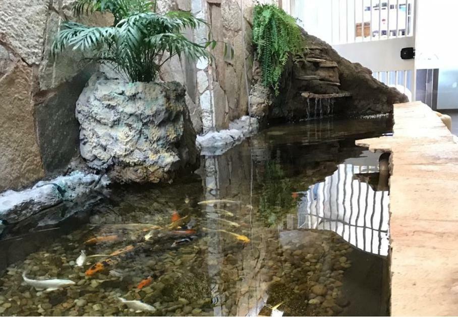 Hotel Luz Fronteira Экстерьер фото